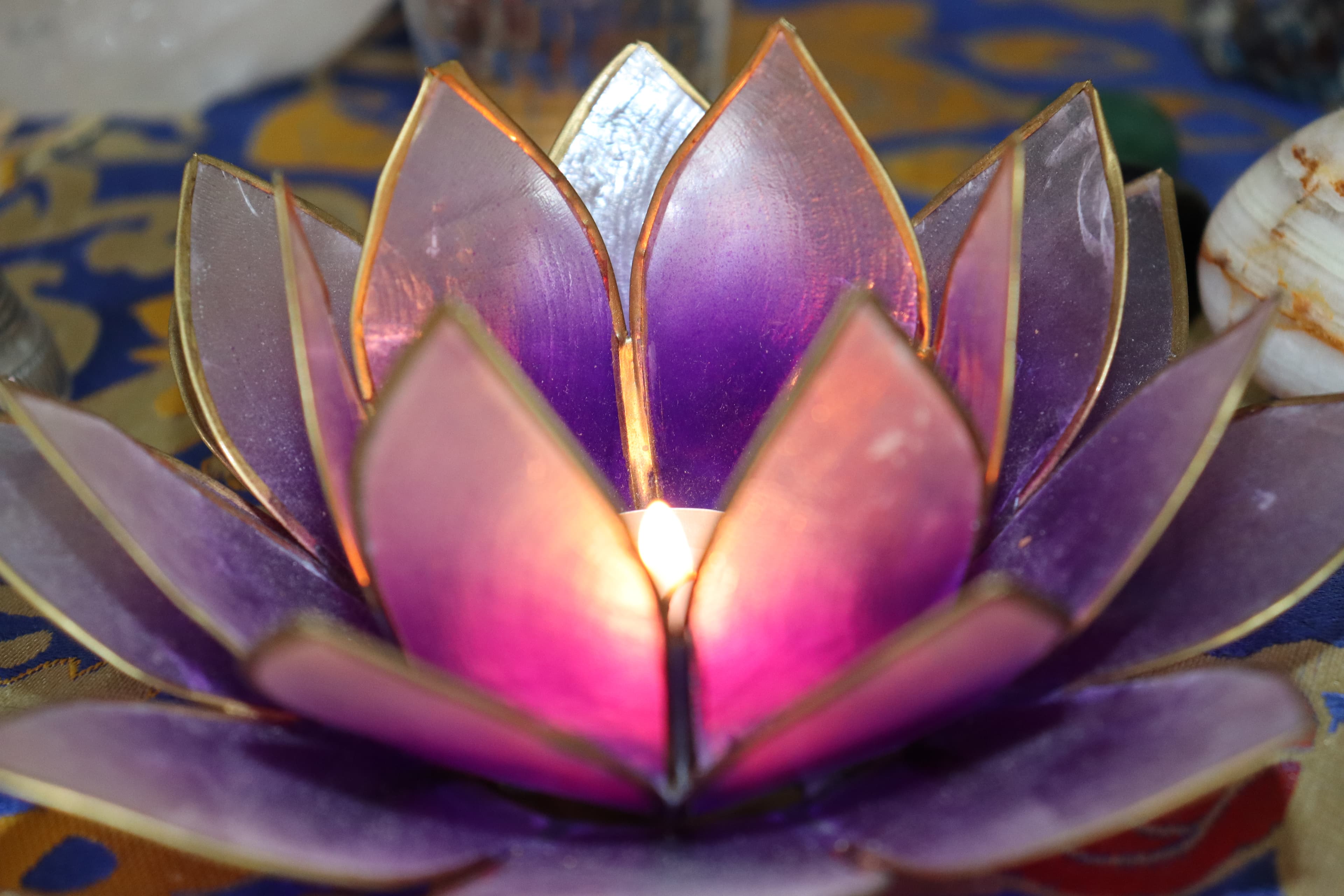 Fiore di loto illuminato, simbolo di trasformazione interiore